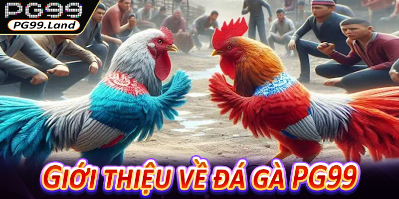 Giới thiệu về đá gà PG99