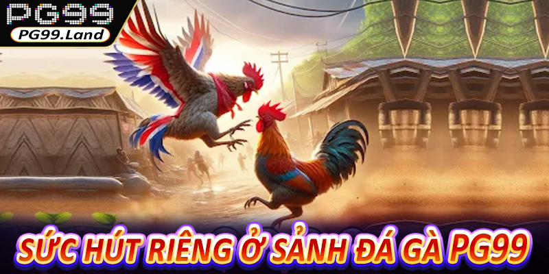 Những điểm tạo nên sức hút riêng ở sảnh đá gà PG99