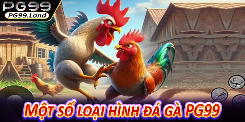 Một số loại hình đá gà PG99 cực chất