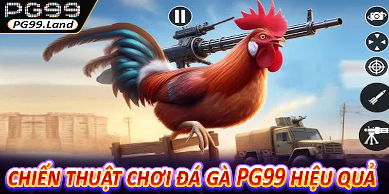 Tổng hợp chiến thuật chơi đá gà PG99 siêu hiệu quả